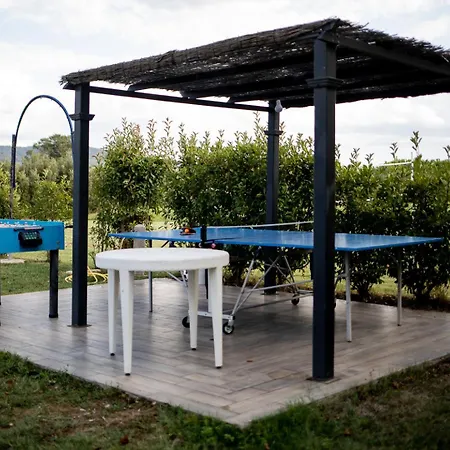 Holiday home Casa Dei Girasoli Castiglion Fiorentino