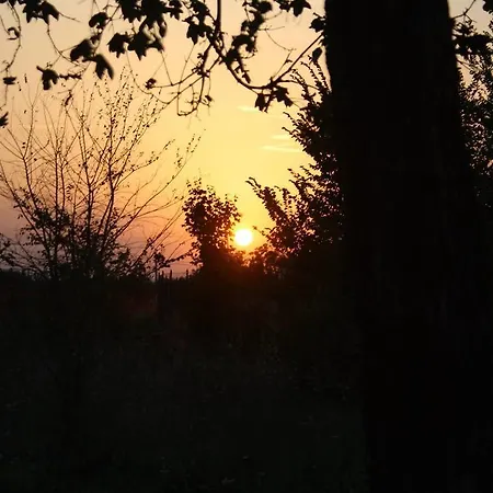Hébergement de vacances Casa Dei Girasoli *